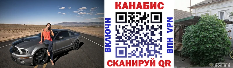 Альфа ПВП Пятигорск