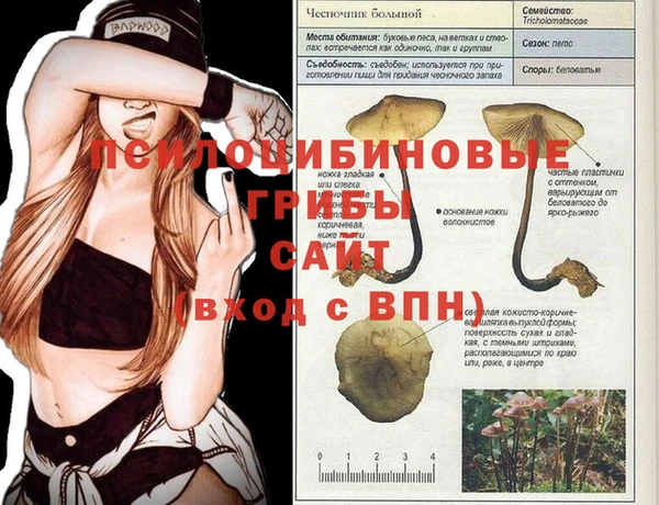 прущие крисы Нея