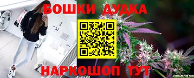 ПСИЛОЦИБИНОВЫЕ ГРИБЫ Заводоуковск