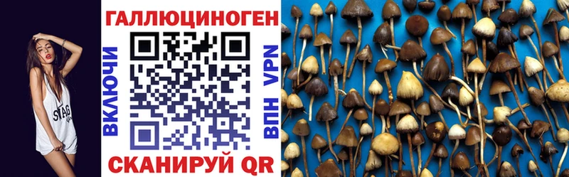 Галлюциногенные грибы MAGIC MUSHROOMS  Пятигорск 
