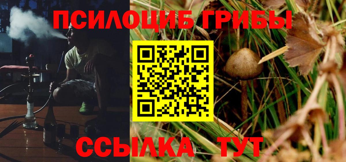 Псилоцибиновые грибы GOLDEN TEACHER  Вход с VPN  Пятигорск 