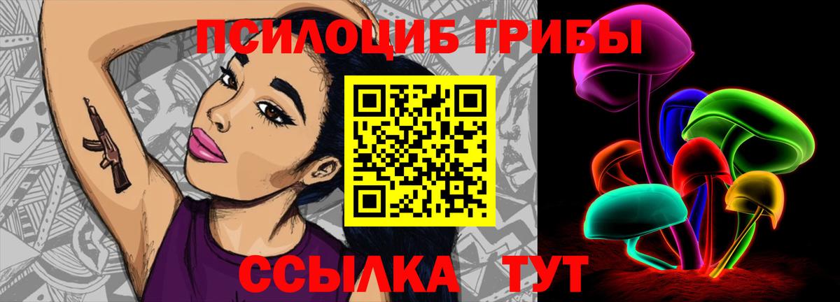 Псилоцибиновые грибы Cubensis Пятигорск